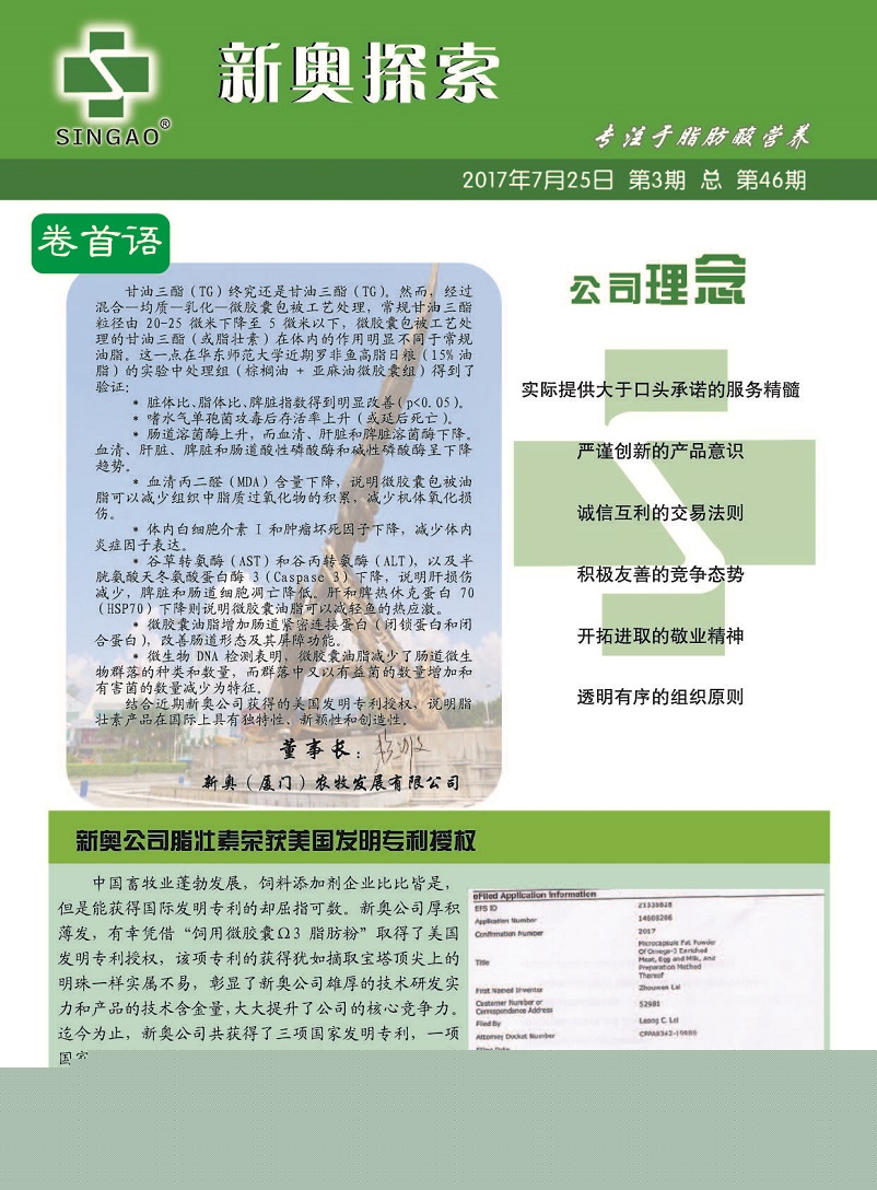 娄底_澳门一码一肖一恃一中240期,揭底矢量图（svg）全面释义、解释与落实